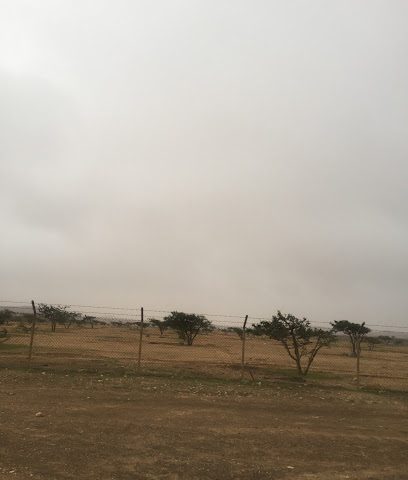 Frankincense Tree Farm - استون -