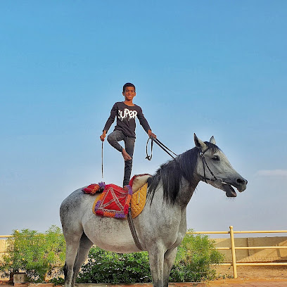 Arabian Horse breeding stable - Sur - +968 9222 3066
