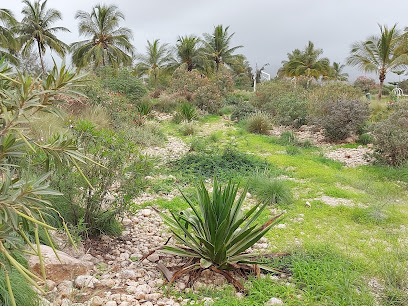 حديقة عامة وممشى وحديقة العاب - Salalah -