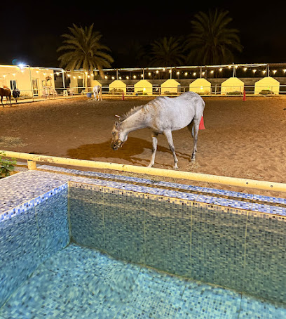 نادي الهاجري للفروسية Al Hajri Equestrian Club - Sohar - +968 9600 1991