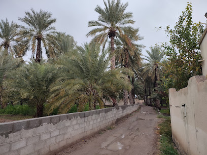 مزرعة الذيب بن الشيبة بن سليمان العامري - العاقل، -