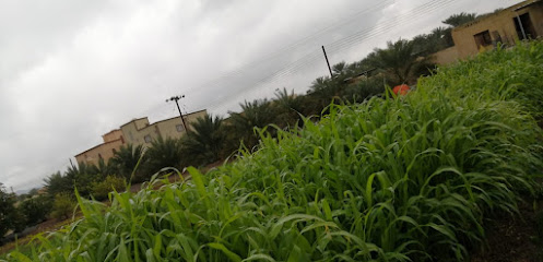 مزرعة جنائن السعد - Sayh Al Qa' - +968 9562 5223