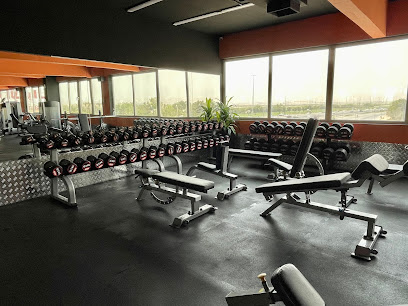 Lupus Gym Oman - Seeb - +968 9559 3558