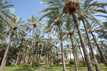 AlTayar Farms - Ar Rumays - +968 9968 8688