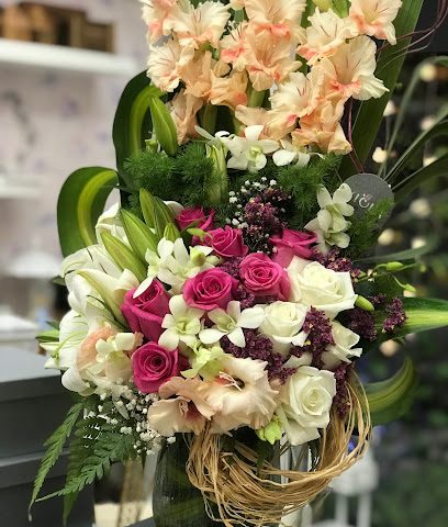Viola Rose - Seeb - +968 9545 8434