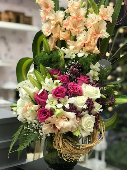 Viola Rose - Oman|Seeb|Al Basatin St|J6PM+F3R