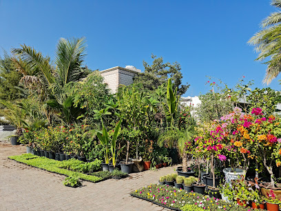 Al-Janayin Gardening الجنائن للحدائق - Muscat -