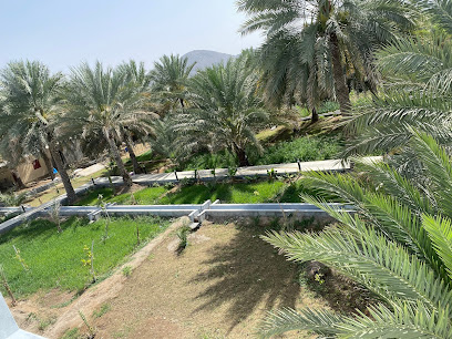 مزرعة المعمورة - Ibra -