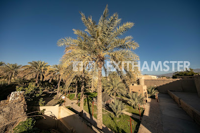Nizwa Fort Garden - Nizwa -