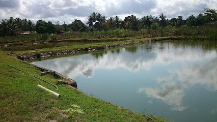 Hunaini's Farm - Bu Baqarah - +968 9947 6899