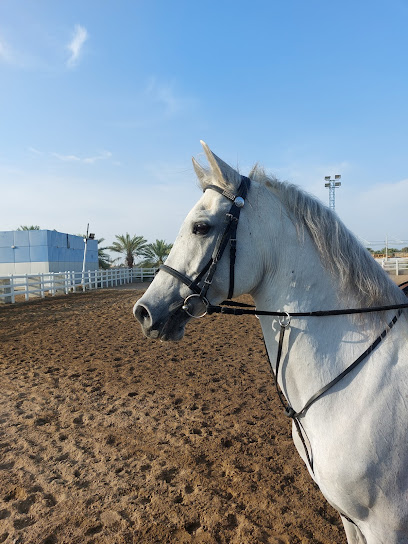 Creo Equestrian - Oman|Muscat|M24J+7HR