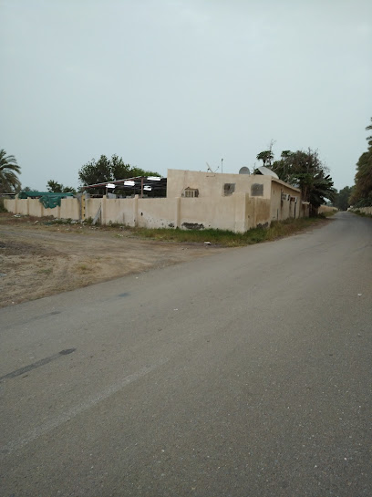 Green House (دفيئة) - Oman|Sohar|CJ8R+GG