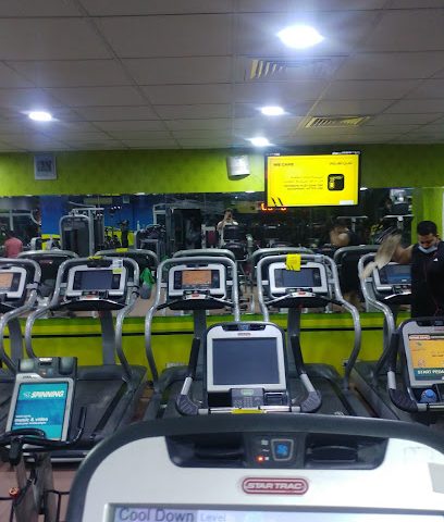 Horizon Fitness MQ - Muscat - +968 24 600232