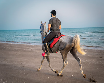 اسطبلات ربدان لتعليم الفروسية - Seeb - +968 9699 6016
