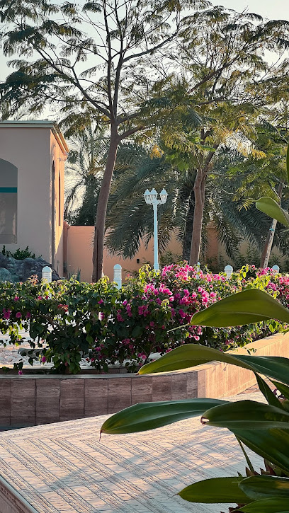 استراحة العُلا - alola resort - Oman|Unnamed Road