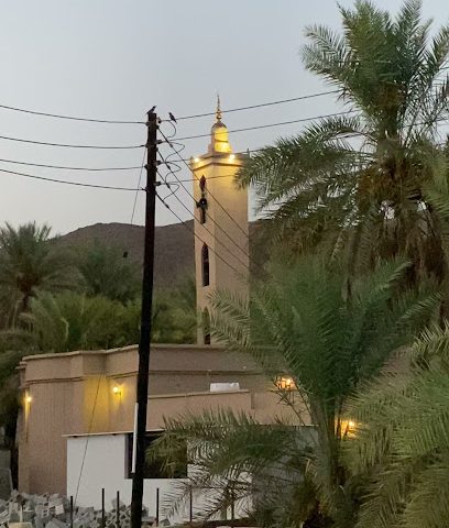 مسجد الثمين - Samail - +968 9937 2749