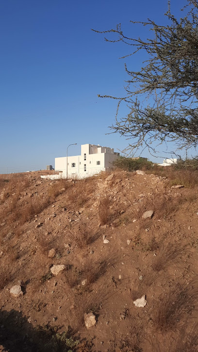 Western Union - Oman|113|OM