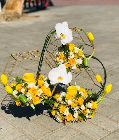Lovely Blossom - Muscat - +968 9458 8989