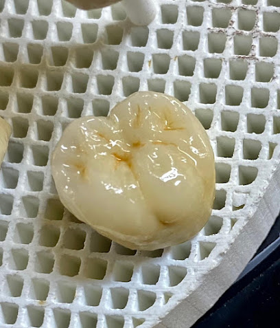 Al Shamil Dental Laboratory sohar - Sohar - +968 9827 2781