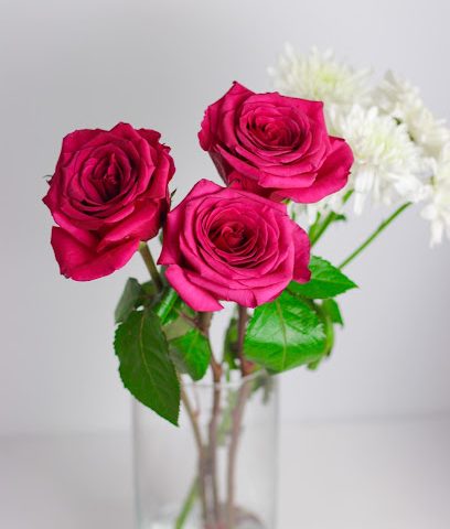 Fantak rose - Saham -