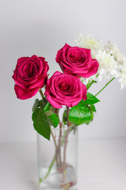 Fantak rose - Oman|1