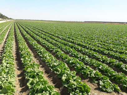 Tawoos Agriculture - قريحة - +968 26 796235