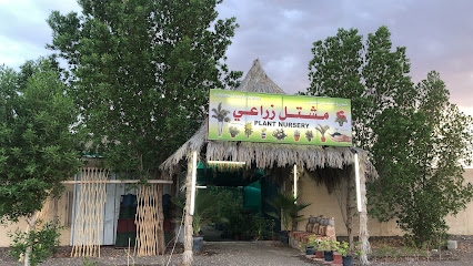مزرعة ناصر بن علي العثماني - Bahla - +968 9384 4288