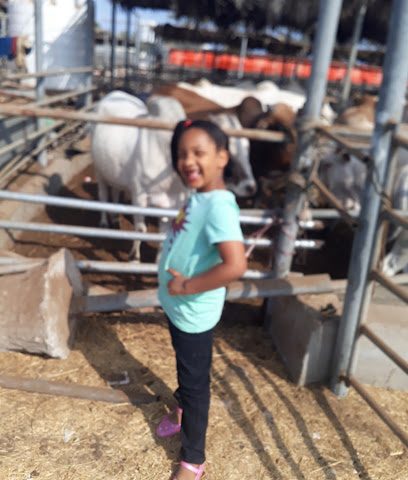 AlHOOTI FARM - الشخاخيط -