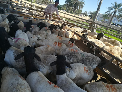 سوق المواشي المركزي - Sohar -