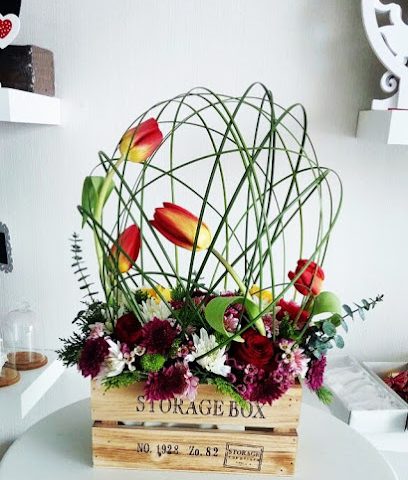 Blossomia - Al Buraimi - +968 9899 6696