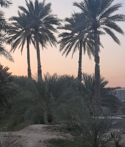 مزرعة نطالة - آدم، -