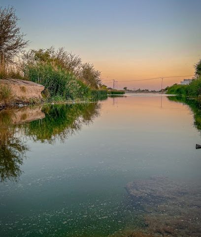 بركة مائية - Nizwa -