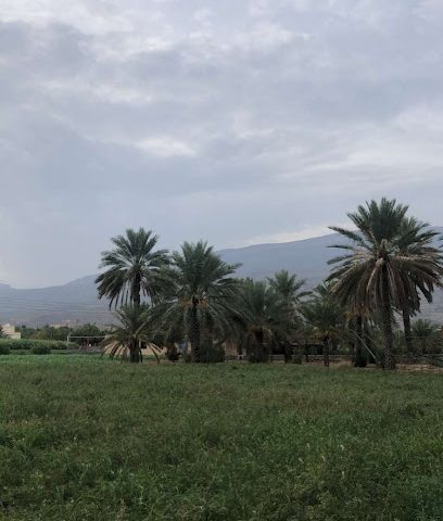 مزرعة مفتاح البلد - Al Hamra -