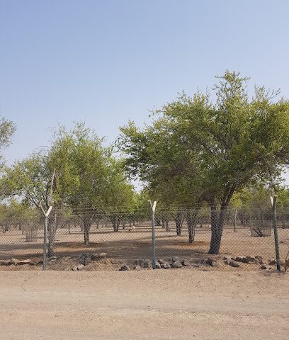 Almsial Park - Sohar -