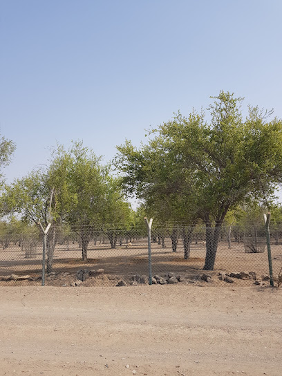 Almsial Park - Oman|Sohar|9HQF+XRV