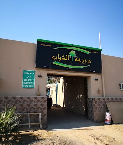مزرعة الشباب للأيجار اليومي - Ibri - +968 9225 5727