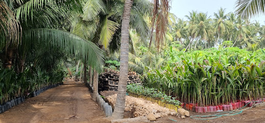 ISSA NASER ANR Coconut Shop - صلالة، -