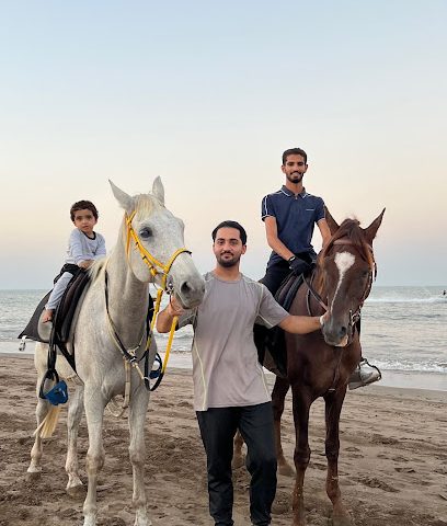 رياضة ركوب الخيل ( متوقف حتا نهاية موسم الصيف ) - Muscat - +968 9719 9079