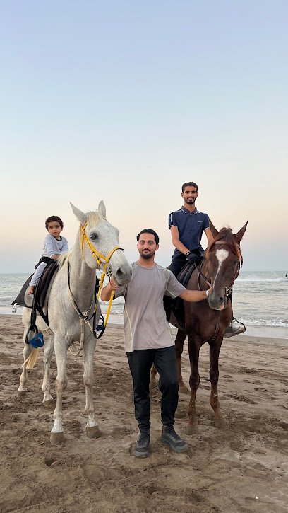 رياضة ركوب الخيل ( متوقف حتا نهاية موسم الصيف ) - Oman|Muscat