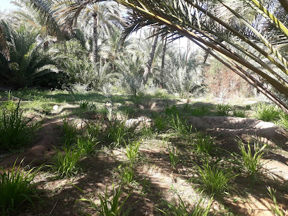 Date Garden Fanja - Fanja -