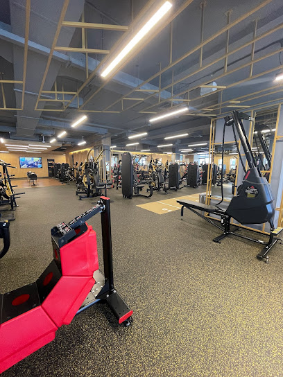 The One Gym - Oman|Muscat 113|Al Ghubrah St