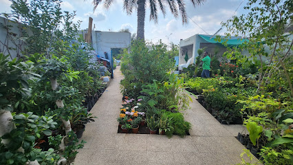 Aljanayin Garden Centre مركز حدائق الجنائن - Muscat - +968 7855 7117
