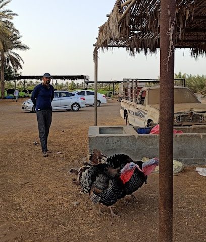 Barka fresh milk center - السقسوق -
