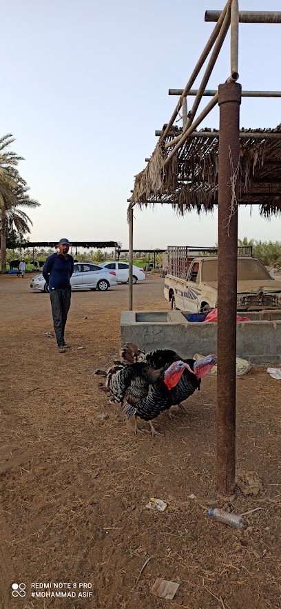 Barka fresh milk center - Oman|السقسوق|Unnamed Road