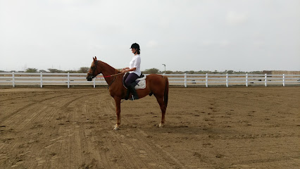 Al Shamekh Equestrian - مدرسة الشامخ للفروسية - Ar Rumays -