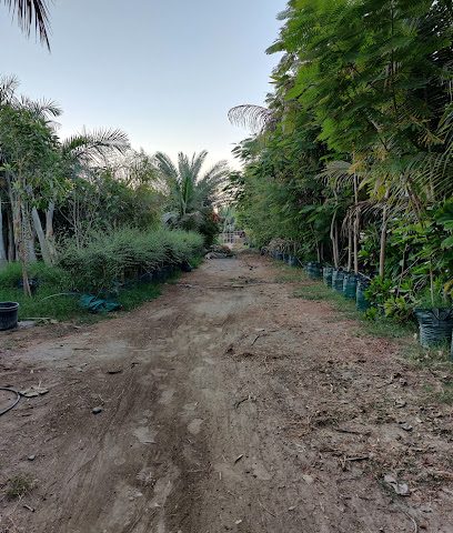 مزرعة الملدة / muladah farm - Muladdah - +968 9193 2933
