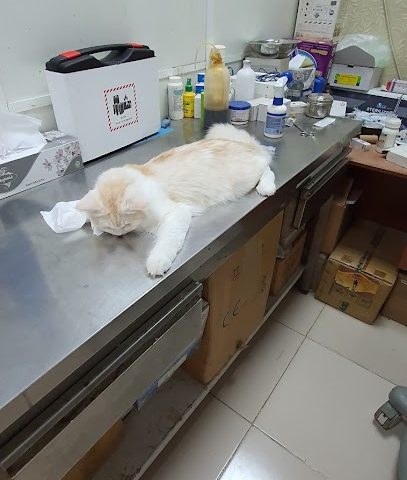 عيادة و مختبر صحار البيطرية - Sohar - +968 9778 0200