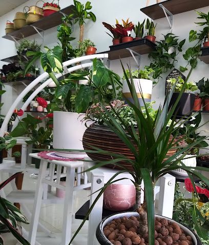 Nobaty Plant - Muscat - +968 9698 4244