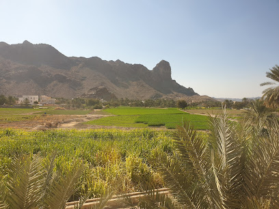 اولاد حسن - Al Hamra -