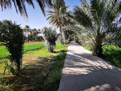 مكتبة العلوم العصرية - Al Hamra - +968 7112 0395